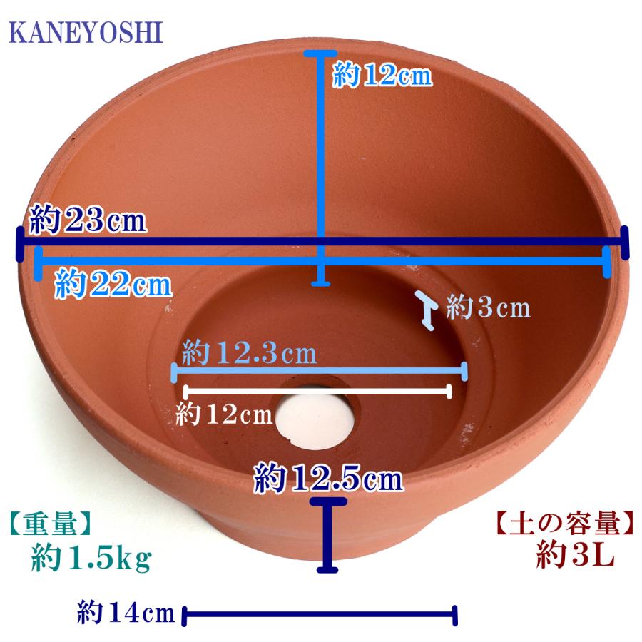 植木鉢 おしゃれ 安い 陶器 サイズ 23cm バリウス 7号 赤焼 室内 屋外 レンガ 色 |  | 03