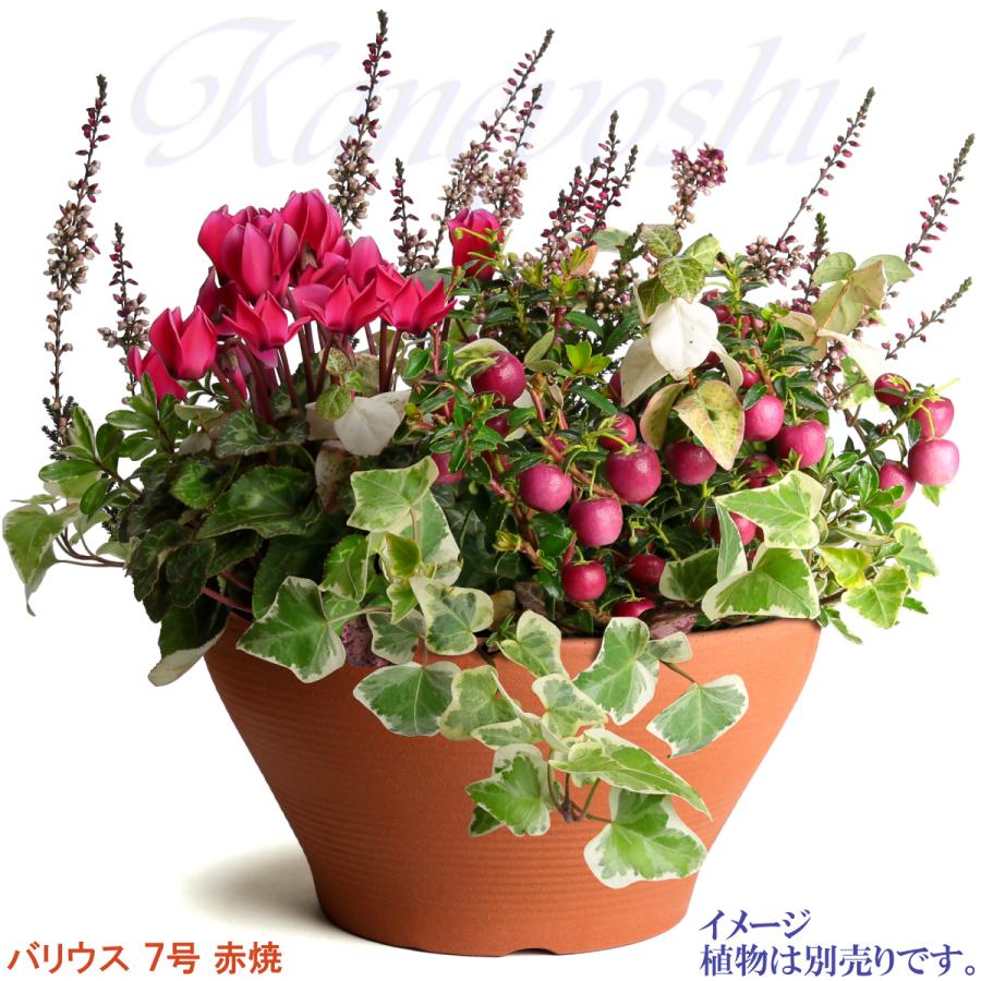 植木鉢 おしゃれ 安い 陶器 サイズ 23cm バリウス 7号 赤焼 室内 屋外 レンガ 色 |  | 08