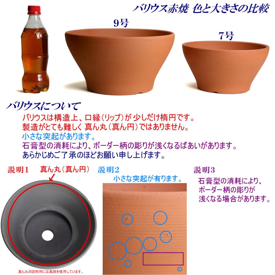 植木鉢 おしゃれ 安い 陶器 サイズ 23cm バリウス 7号 赤焼 室内