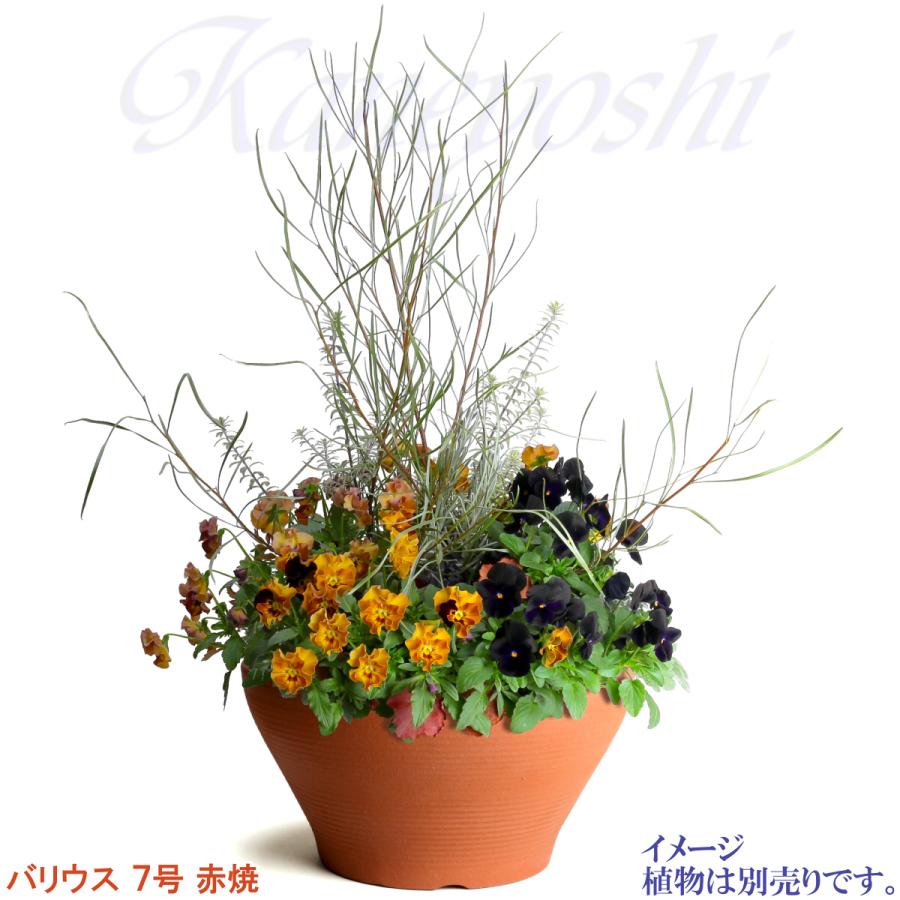 植木鉢 おしゃれ 安い 陶器 サイズ 23cm バリウス 7号 赤焼 室内 屋外 レンガ 色 |  | 10