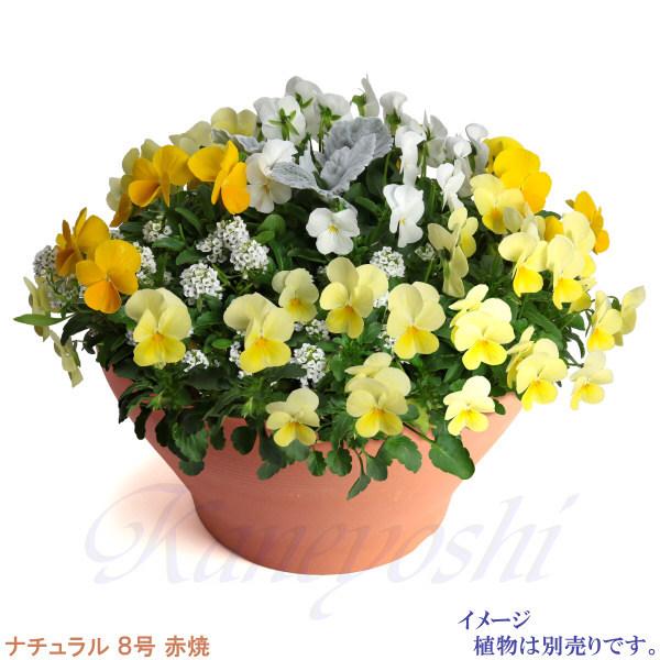 植木鉢 おしゃれ 安い 陶器 サイズ 25cm ナチュラル 8号 赤焼 室内 屋外 レンガ 色 |  | 05