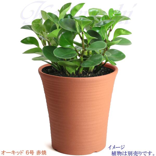 植木鉢 おしゃれ 安い 陶器 サイズ 19cm オーキッド 6号 赤焼 室内 屋外 レンガ 色 |  | 08