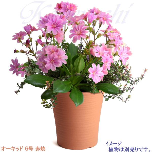 植木鉢 おしゃれ 安い 陶器 サイズ 19cm オーキッド 6号 赤焼 室内 屋外 レンガ 色 |  | 09