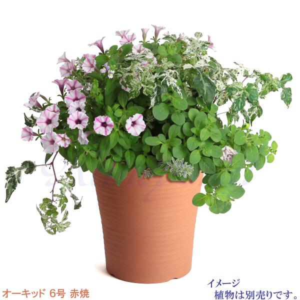 植木鉢 おしゃれ 安い 陶器 サイズ 19cm オーキッド 6号 赤焼 室内 屋外 レンガ 色 |  | 07