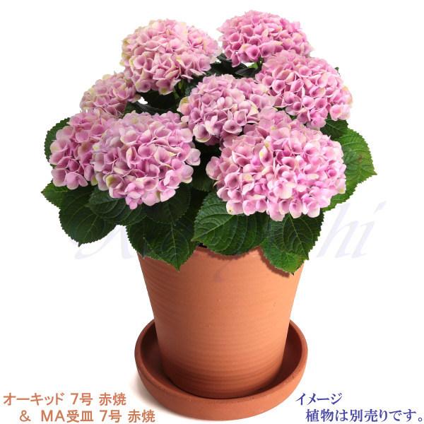 植木鉢 おしゃれ 安い 陶器 サイズ 22cm オーキッド 7号 赤焼 受皿付