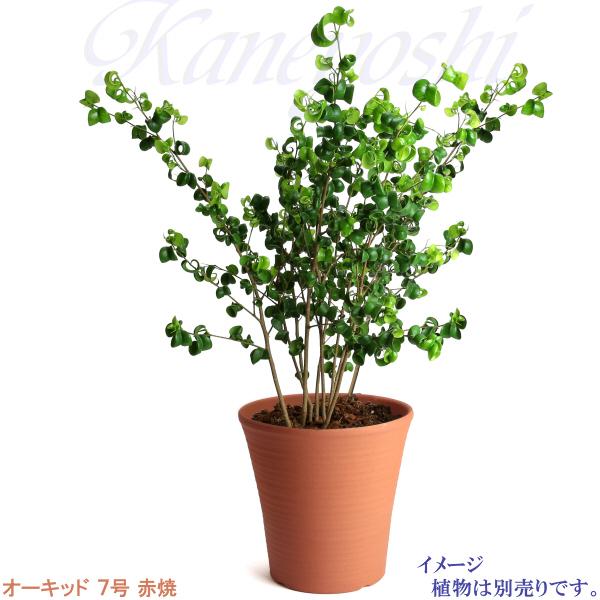 植木鉢 おしゃれ 安い 陶器 サイズ 22cm オーキッド 7号 赤焼 室内 屋外 レンガ 色 |  | 08