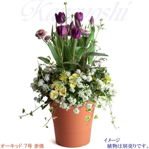 植木鉢 おしゃれ 安い 陶器 サイズ 22cm オーキッド 7号 赤焼 室内 屋外 レンガ 色 |  | 10