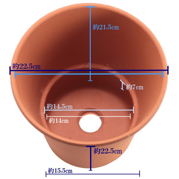 植木鉢 おしゃれ 安い 陶器 サイズ 22cm オーキッド 7号 赤焼 室内 屋外 レンガ 色 |  | 03