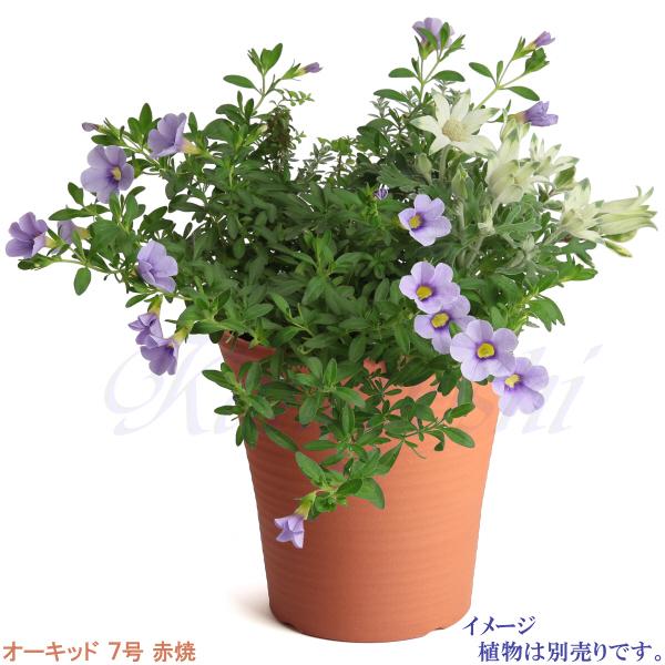 植木鉢 おしゃれ 安い 陶器 サイズ 22cm オーキッド 7号 赤焼 室内 屋外 レンガ 色 |  | 07