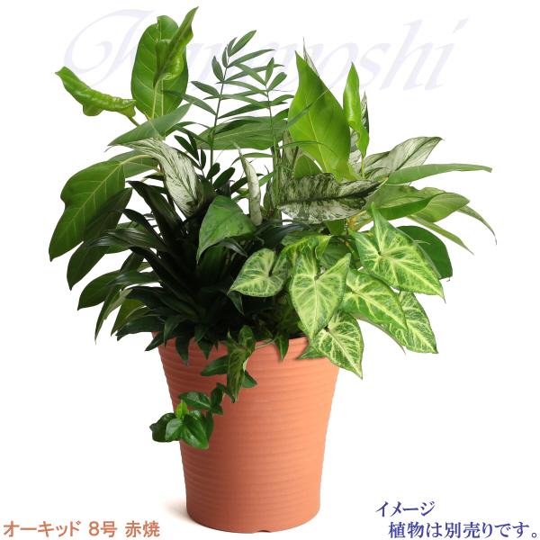植木鉢 おしゃれ 安い 陶器 サイズ 25cm オーキッド 8号 赤焼 室内 屋外 レンガ 色 |  | 08