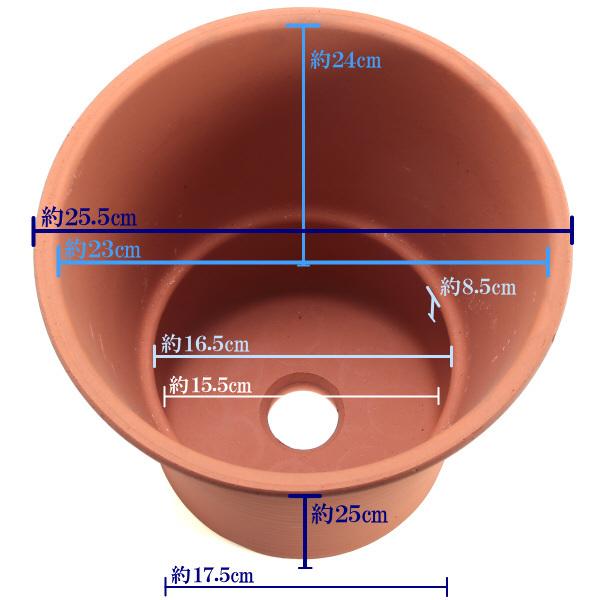 植木鉢 おしゃれ 安い 陶器 サイズ 25cm オーキッド 8号 赤焼 室内 屋外 レンガ 色 |  | 03