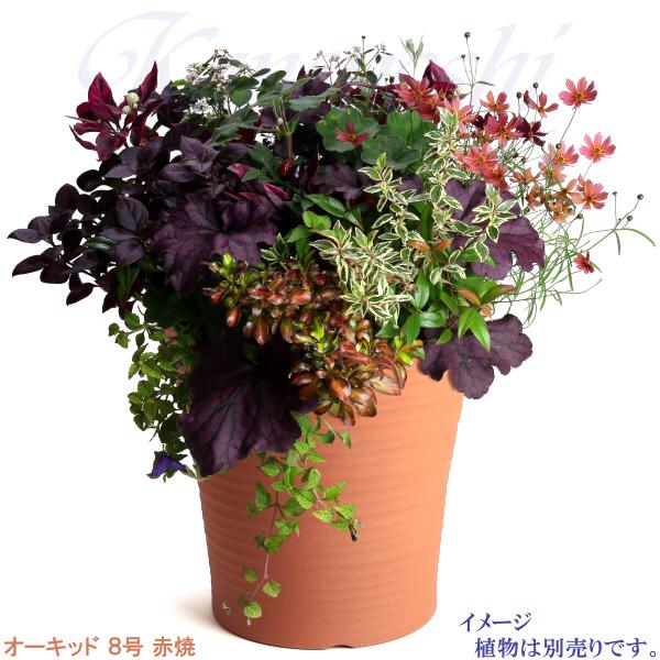 植木鉢 おしゃれ 安い 陶器 サイズ 25cm オーキッド 8号 赤焼 室内 屋外 レンガ 色 |  | 07