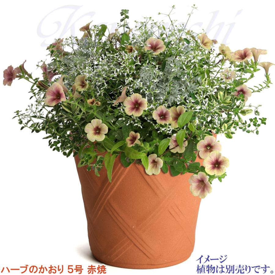 植木鉢 おしゃれ 安い 陶器 サイズ 15cm ハーブのかおり 5号 赤焼 室内 屋外 レンガ 色 |  | 10
