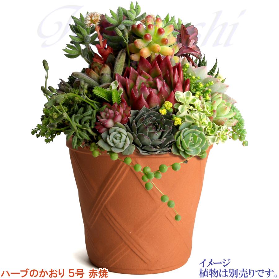 植木鉢 おしゃれ 安い 陶器 サイズ 15cm ハーブのかおり 5号 赤焼 室内 屋外 レンガ 色 |  | 11