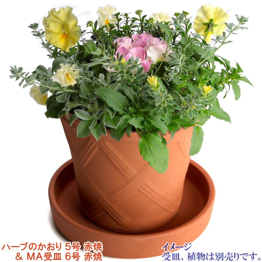 植木鉢 おしゃれ 安い 陶器 サイズ 15cm ハーブのかおり 5号 赤焼 室内 屋外 レンガ 色 |  | 12
