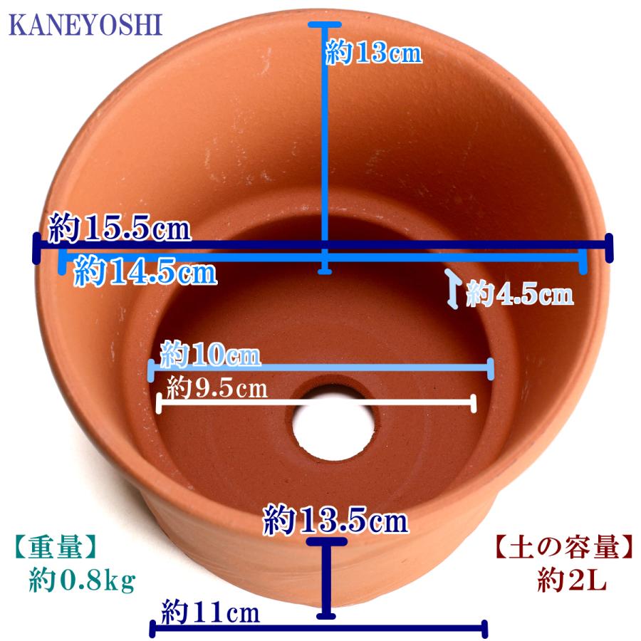 植木鉢 おしゃれ 安い 陶器 サイズ 15cm ハーブのかおり 5号 赤焼 室内 屋外 レンガ 色 |  | 03
