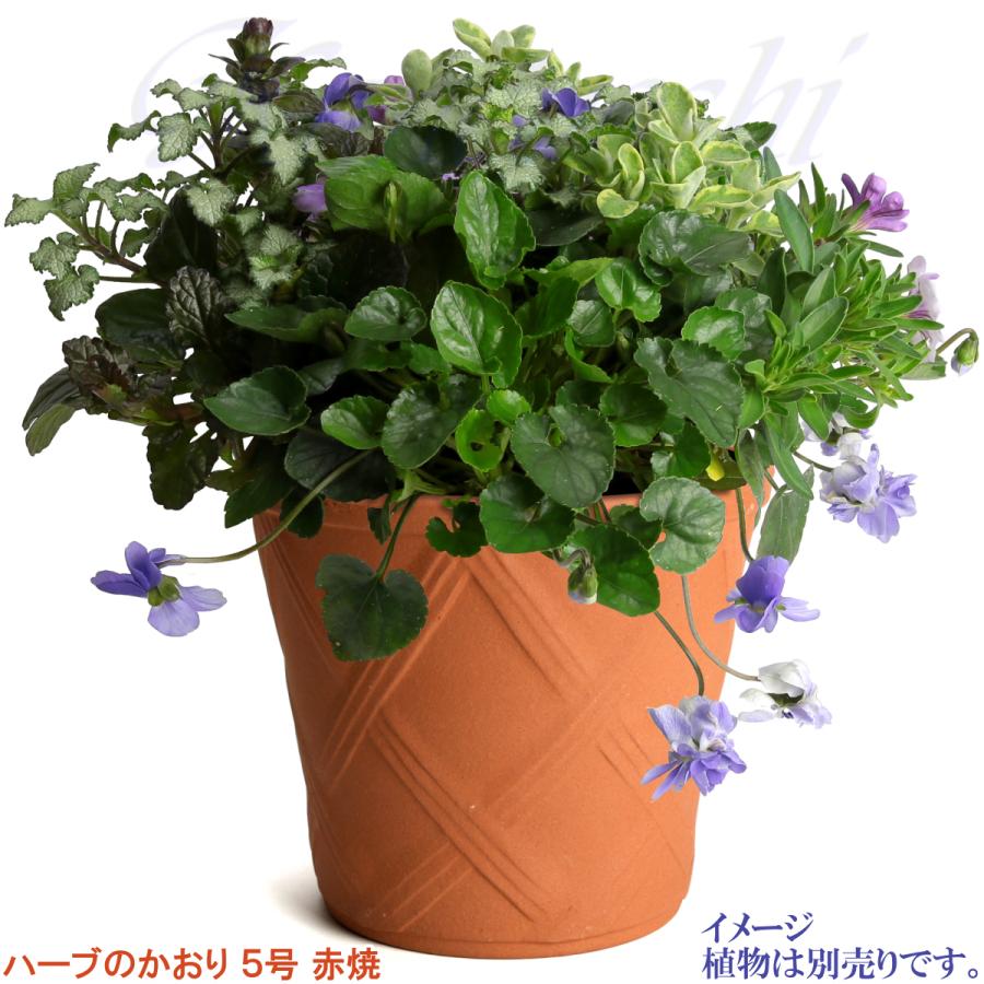 植木鉢 おしゃれ 安い 陶器 サイズ 15cm ハーブのかおり 5号 赤焼 室内 屋外 レンガ 色 |  | 09