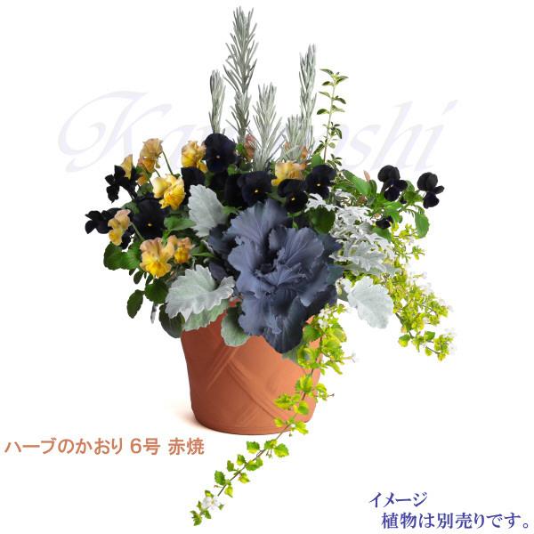 植木鉢 おしゃれ 安い 陶器 サイズ 19cm ハーブのかおり 6号 赤焼 室内 屋外 レンガ 色 |  | 08