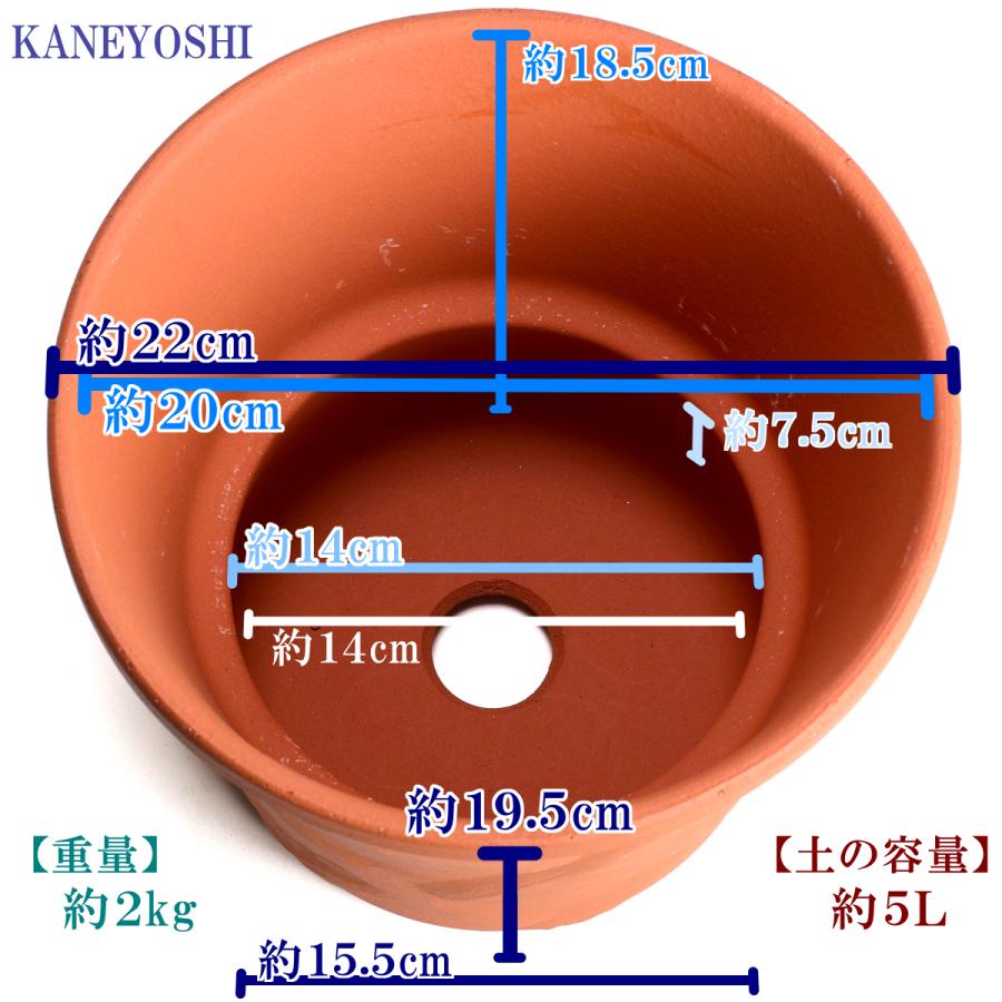 植木鉢 おしゃれ 安い 陶器 サイズ 22cm ハーブのかおり 7号 赤焼 室内 屋外 レンガ 色 |  | 03