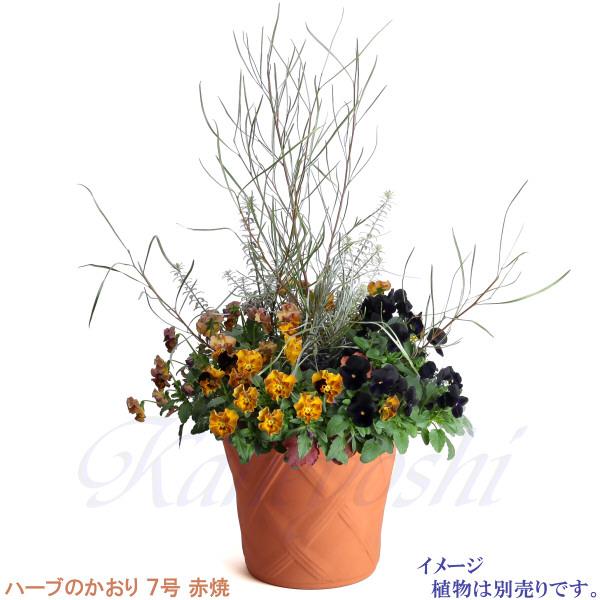 植木鉢 おしゃれ 安い 陶器 サイズ 22cm ハーブのかおり 7号 赤焼 室内 屋外 レンガ 色 |  | 09