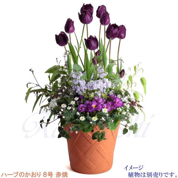 植木鉢 おしゃれ 安い 陶器 サイズ 25cm ハーブのかおり 8号 赤焼 室内 屋外 レンガ 色 |  | 09