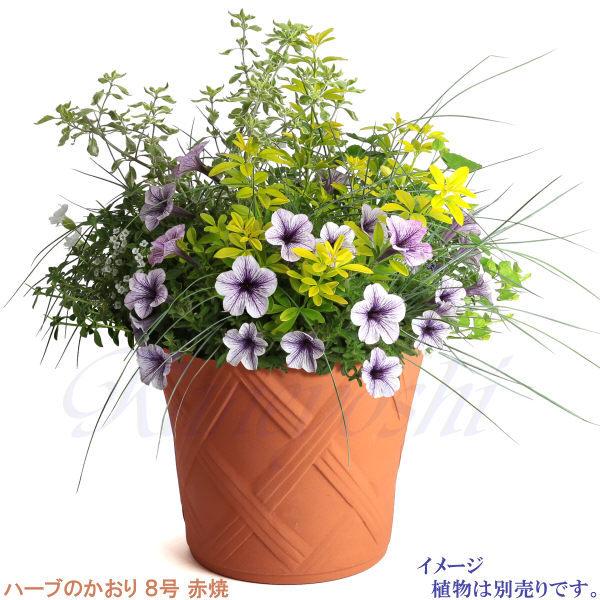 植木鉢 おしゃれ 安い 陶器 サイズ 25cm ハーブのかおり 8号 赤焼 室内 屋外 レンガ 色 |  | 11