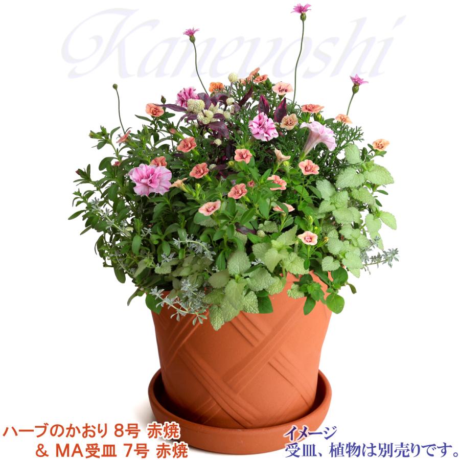 植木鉢 おしゃれ 安い 陶器 サイズ 25cm ハーブのかおり 8号 赤焼 室内 屋外 レンガ 色 |  | 12