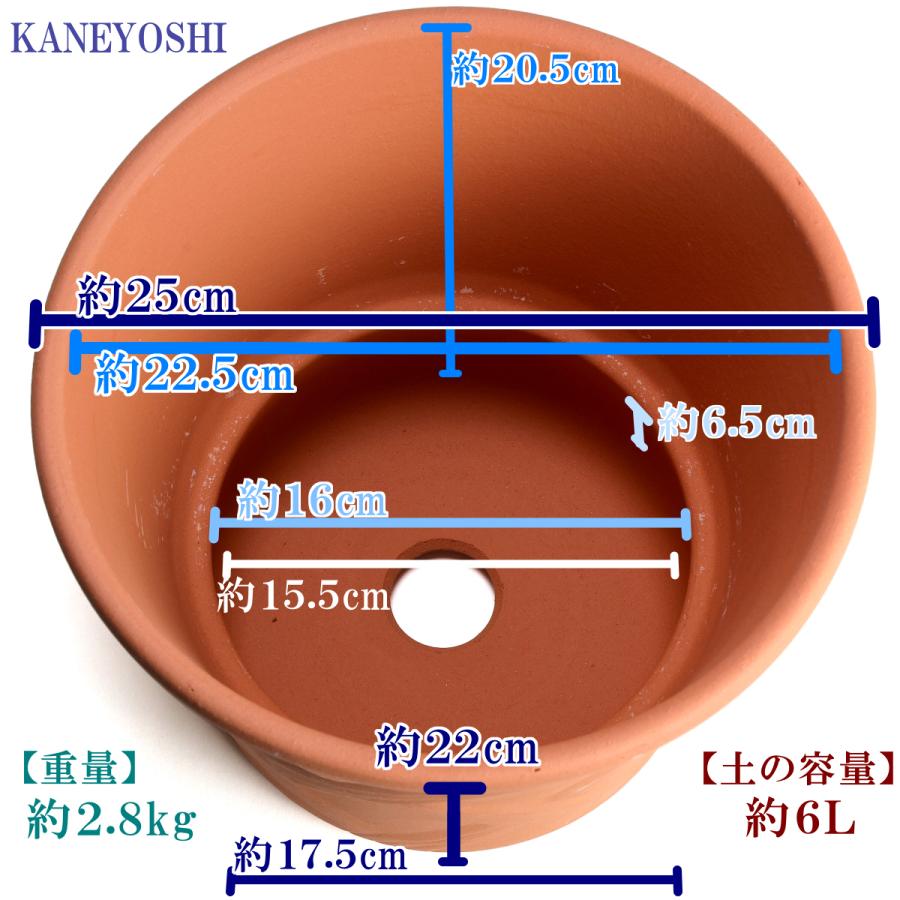 植木鉢 おしゃれ 安い 陶器 サイズ 25cm ハーブのかおり 8号 赤焼 室内 屋外 レンガ 色 |  | 03