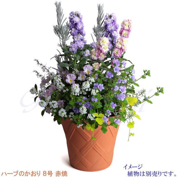 植木鉢 おしゃれ 安い 陶器 サイズ 25cm ハーブのかおり 8号 赤焼 室内 屋外 レンガ 色 |  | 08