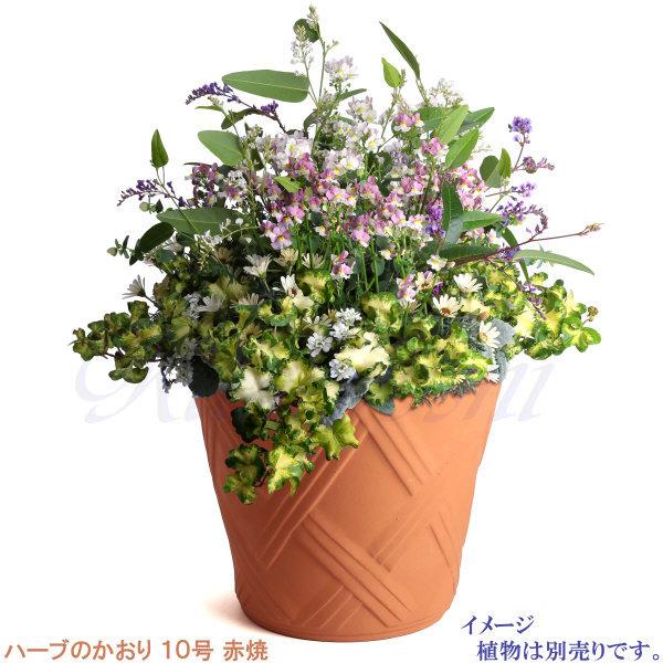 植木鉢 おしゃれ 安い 陶器 サイズ 31cm ハーブのかおり 10号 赤焼 室内 屋外 レンガ 色 |  | 10