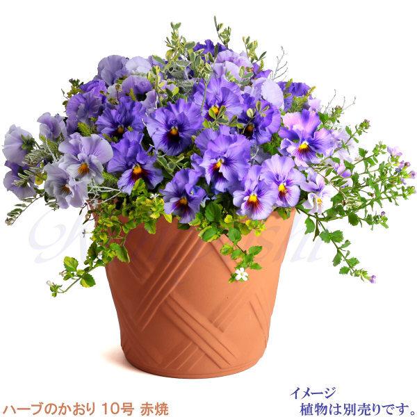 植木鉢 おしゃれ 安い 陶器 サイズ 31cm ハーブのかおり 10号 赤焼 室内 屋外 レンガ 色 |  | 13