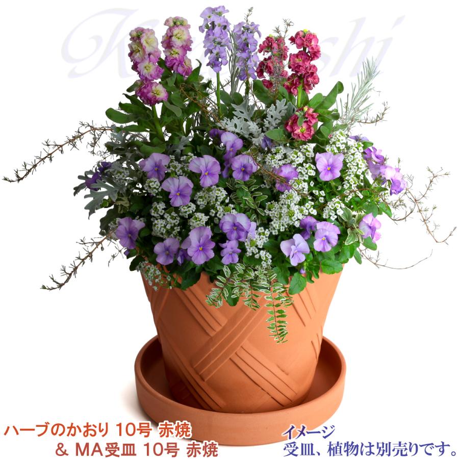 植木鉢 おしゃれ 安い 陶器 サイズ 31cm ハーブのかおり 10号 赤焼 室内 屋外 レンガ 色 |  | 14