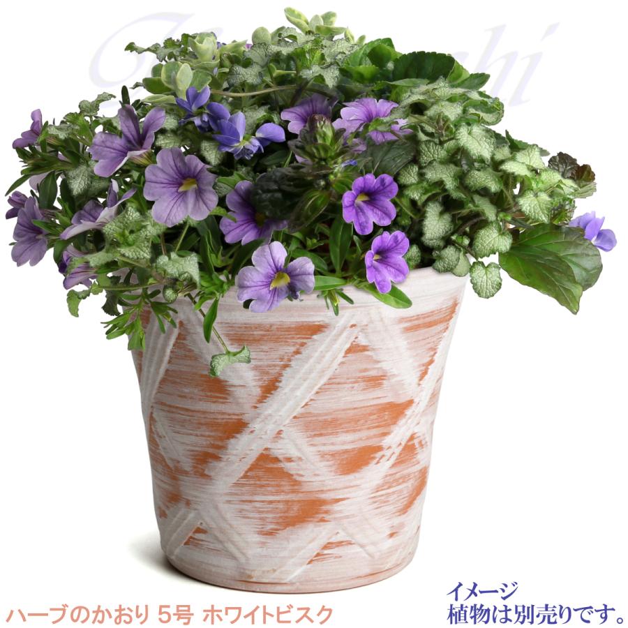 植木鉢 おしゃれ 安い 陶器 サイズ 15cm ハーブのかおり 5号 ホワイトビスク 室内 屋外 レンガ 色 |  | 09