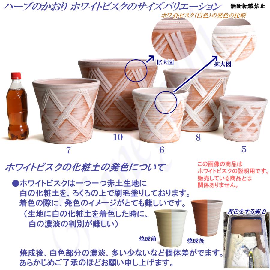 植木鉢 おしゃれ 安い 陶器 サイズ 15cm ハーブのかおり 5号 ホワイトビスク 室内 屋外 レンガ 色 |  | 18