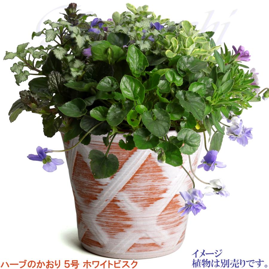 植木鉢 おしゃれ 安い 陶器 サイズ 15cm ハーブのかおり 5号 ホワイトビスク 室内 屋外 レンガ 色 |  | 07
