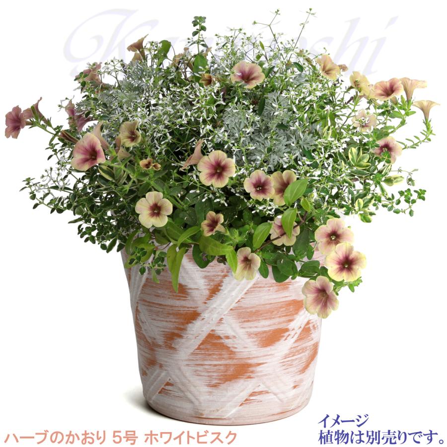植木鉢 おしゃれ 安い 陶器 サイズ 15cm ハーブのかおり 5号 ホワイトビスク 室内 屋外 レンガ 色 |  | 08
