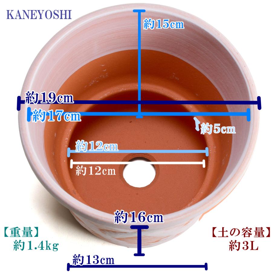 植木鉢 おしゃれ 安い 陶器 サイズ 19cm ハーブのかおり 6号 ホワイトビスク 室内 屋外 レンガ 色 |  | 03
