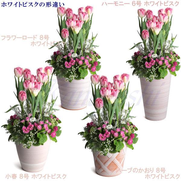 植木鉢 おしゃれ 安い 陶器 サイズ 22cm ハーブのかおり 7号 ホワイトビスク 室内 屋外 レンガ 色 |  | 13