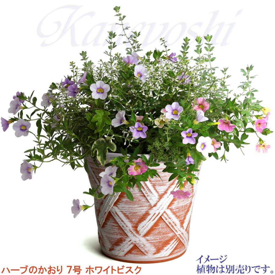 植木鉢 おしゃれ 安い 陶器 サイズ 22cm ハーブのかおり 7号 ホワイトビスク 室内 屋外 レンガ 色 |  | 08