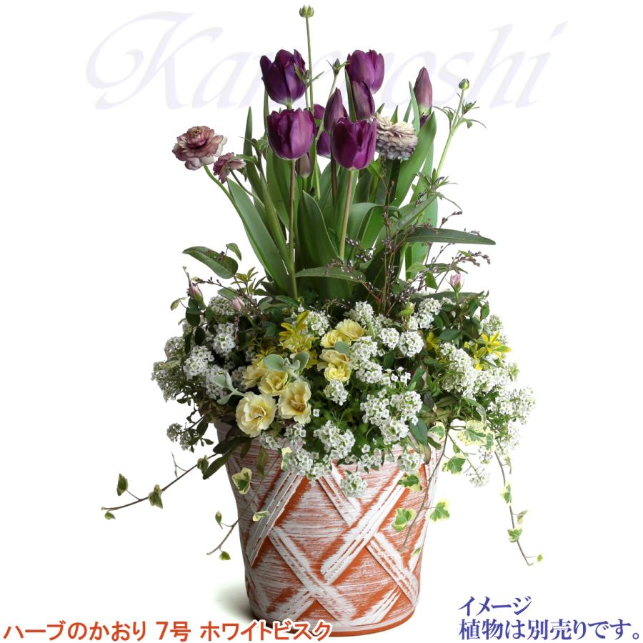 植木鉢 おしゃれ 安い 陶器 サイズ 22cm ハーブのかおり 7号 ホワイトビスク 室内 屋外 レンガ 色 |  | 09