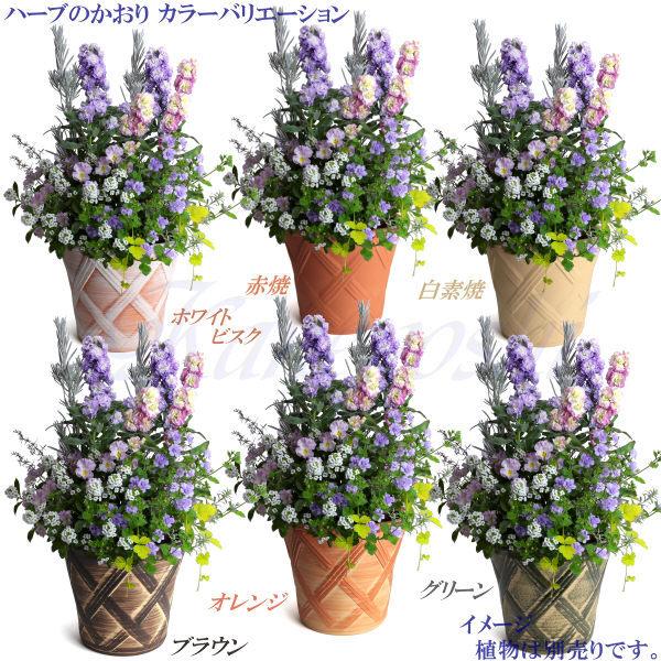 植木鉢 おしゃれ 安い 陶器 サイズ 25cm ハーブのかおり 8号 ホワイトビスク 室内 屋外 レンガ 色 |  | 11