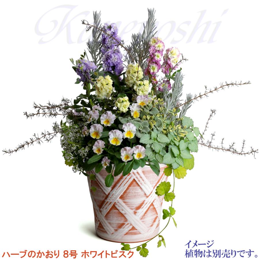 植木鉢 おしゃれ 安い 陶器 サイズ 25cm ハーブのかおり 8号 ホワイトビスク 室内 屋外 レンガ 色 |  | 07