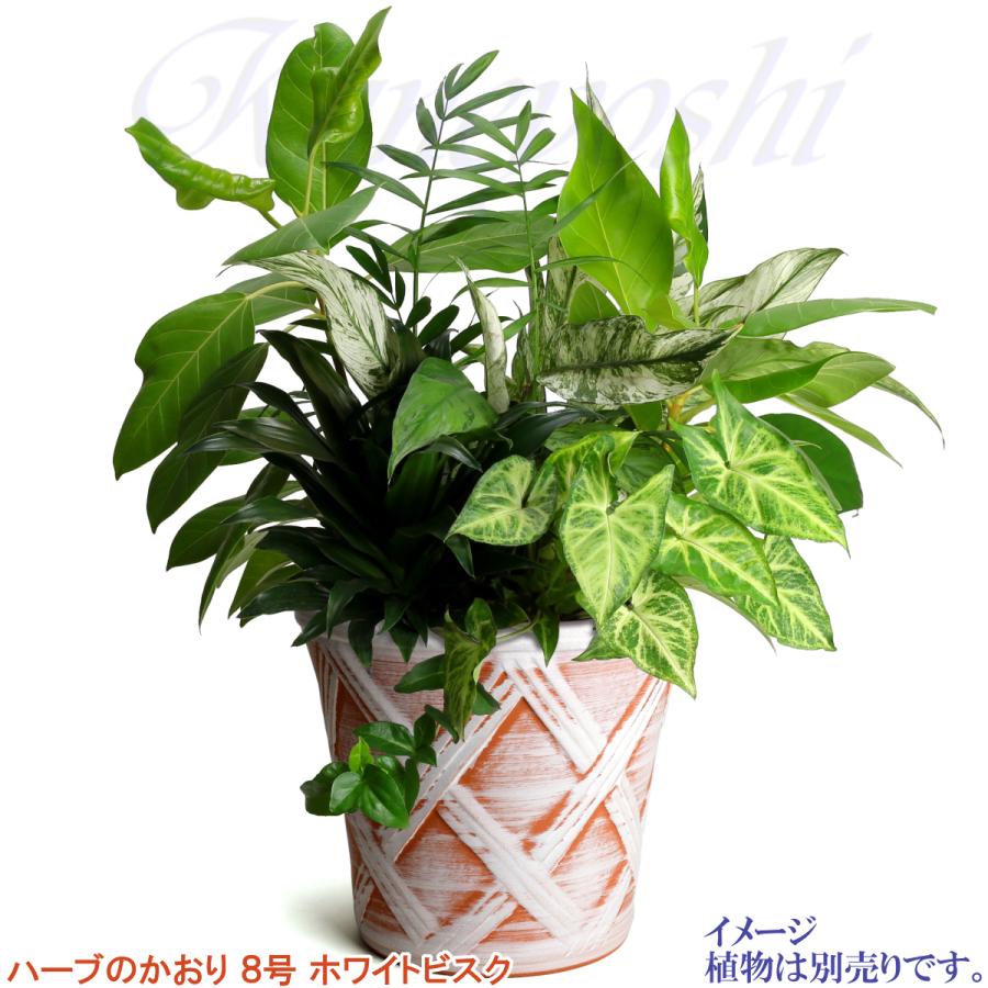 植木鉢 おしゃれ 安い 陶器 サイズ 25cm ハーブのかおり 8号 ホワイトビスク 室内 屋外 レンガ 色 |  | 08