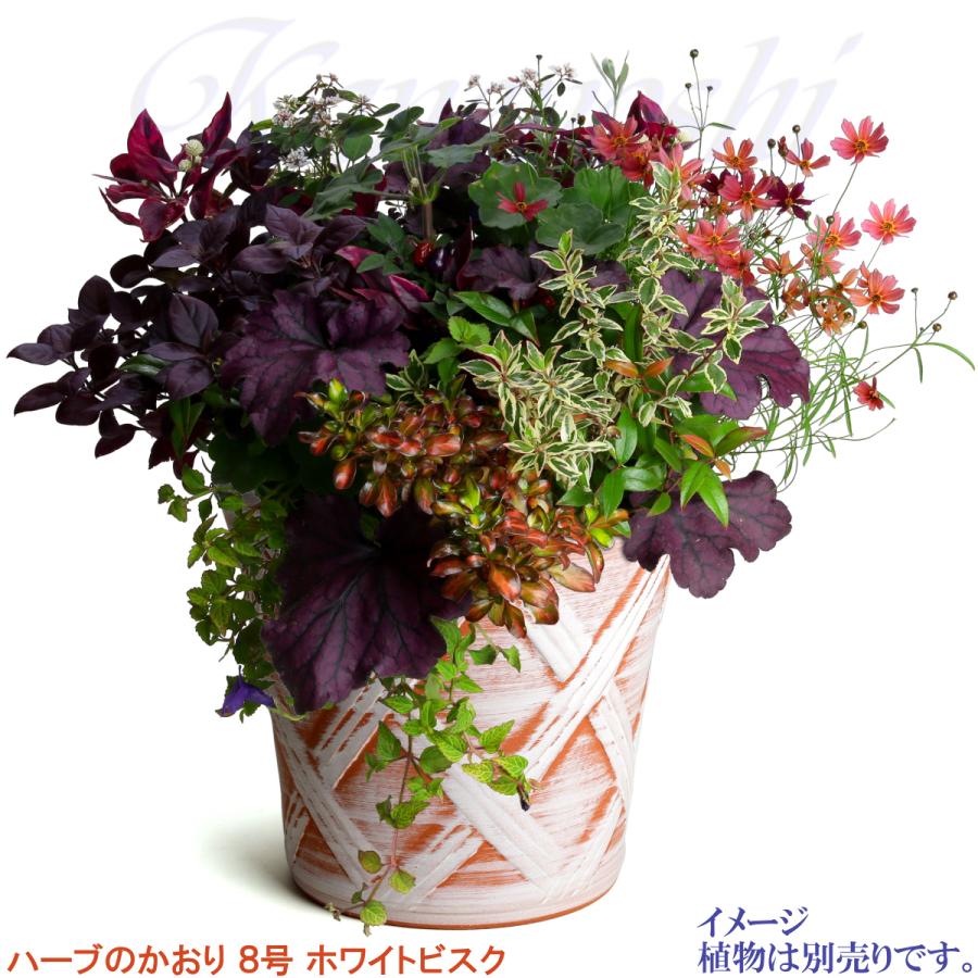 植木鉢 おしゃれ 安い 陶器 サイズ 25cm ハーブのかおり 8号 ホワイトビスク 室内 屋外 レンガ 色 |  | 09