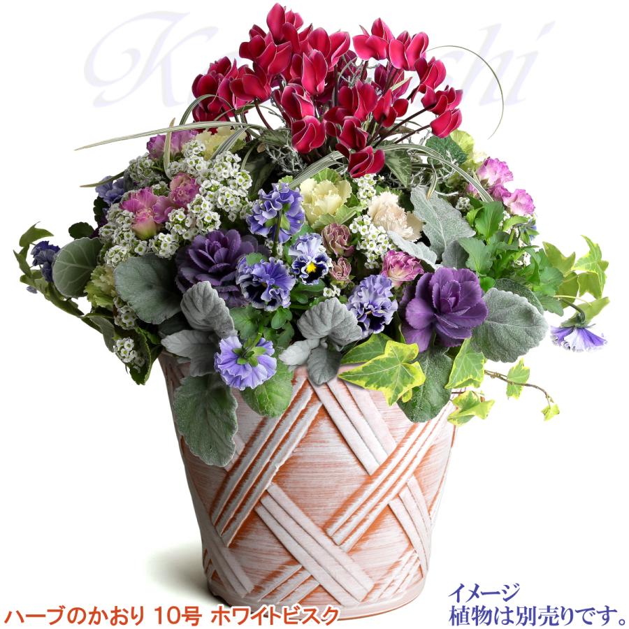 植木鉢 おしゃれ 安い 陶器 サイズ 31cm ハーブのかおり 10号 ホワイトビスク 室内 屋外 レンガ 色 |  | 07