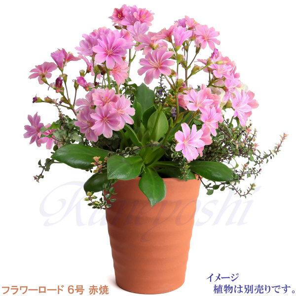 植木鉢 おしゃれ 安い 陶器 サイズ 19cm フラワーロード 6号 赤焼 室内 屋外 レンガ 色 |  | 10