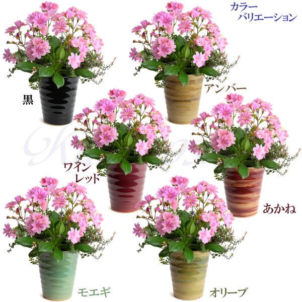 植木鉢 おしゃれ 安い 陶器 サイズ 21.5cm フラワーロード 7号 赤焼 受皿付 室内 屋外 レンガ 色｜docchan｜20