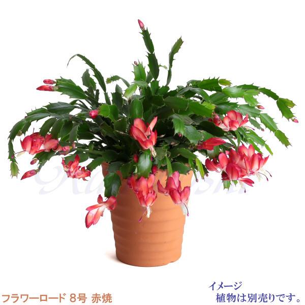 植木鉢 おしゃれ 安い 陶器 サイズ 24.5cm フラワーロード 8号 赤焼 室内 屋外 レンガ 色 |  | 09