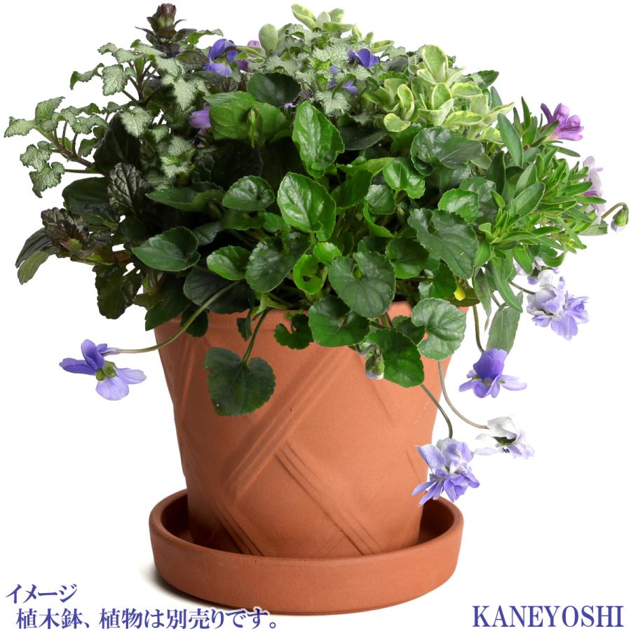 受け皿　植木鉢用　ソーサー　おしゃれ　陶器　サイズ　１９ｃｍ　安くて丈夫　ＭＡ受皿　６号　赤焼　日本製　国産　三河焼 |  | 07