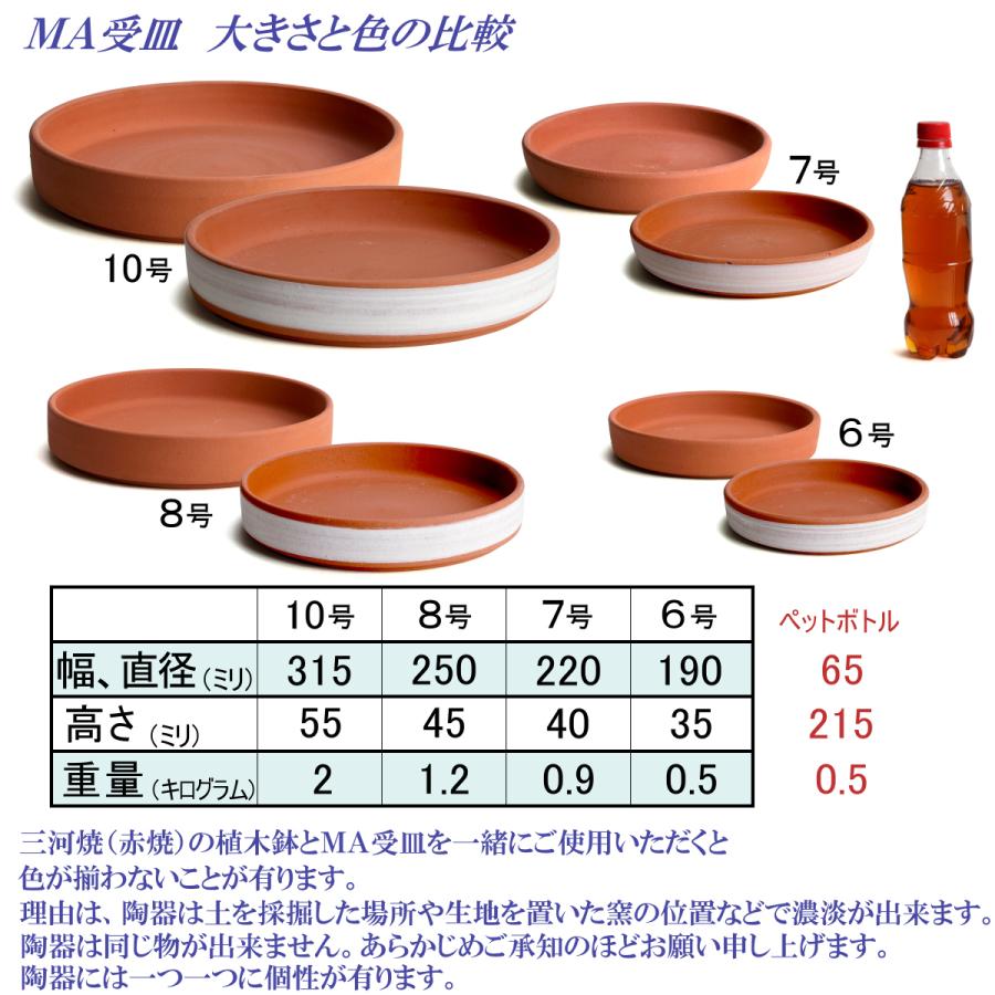 受け皿　植木鉢用　ソーサー　おしゃれ　陶器　サイズ　２５ｃｍ　安くて丈夫　ＭＡ受皿　８号　赤焼 |  | 10
